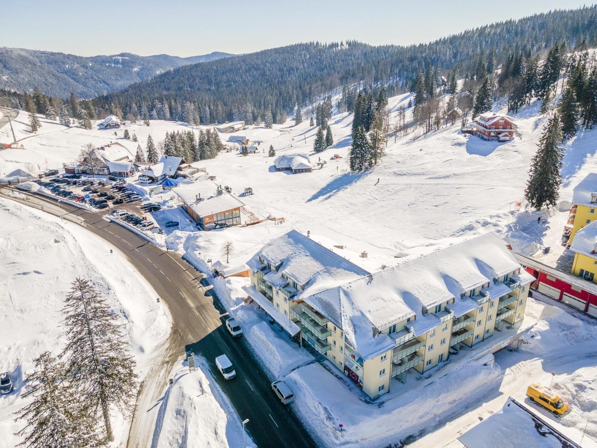 RinkenFeldberg Domizil - Residenz Grafenmattアパートメント エクステリア 写真