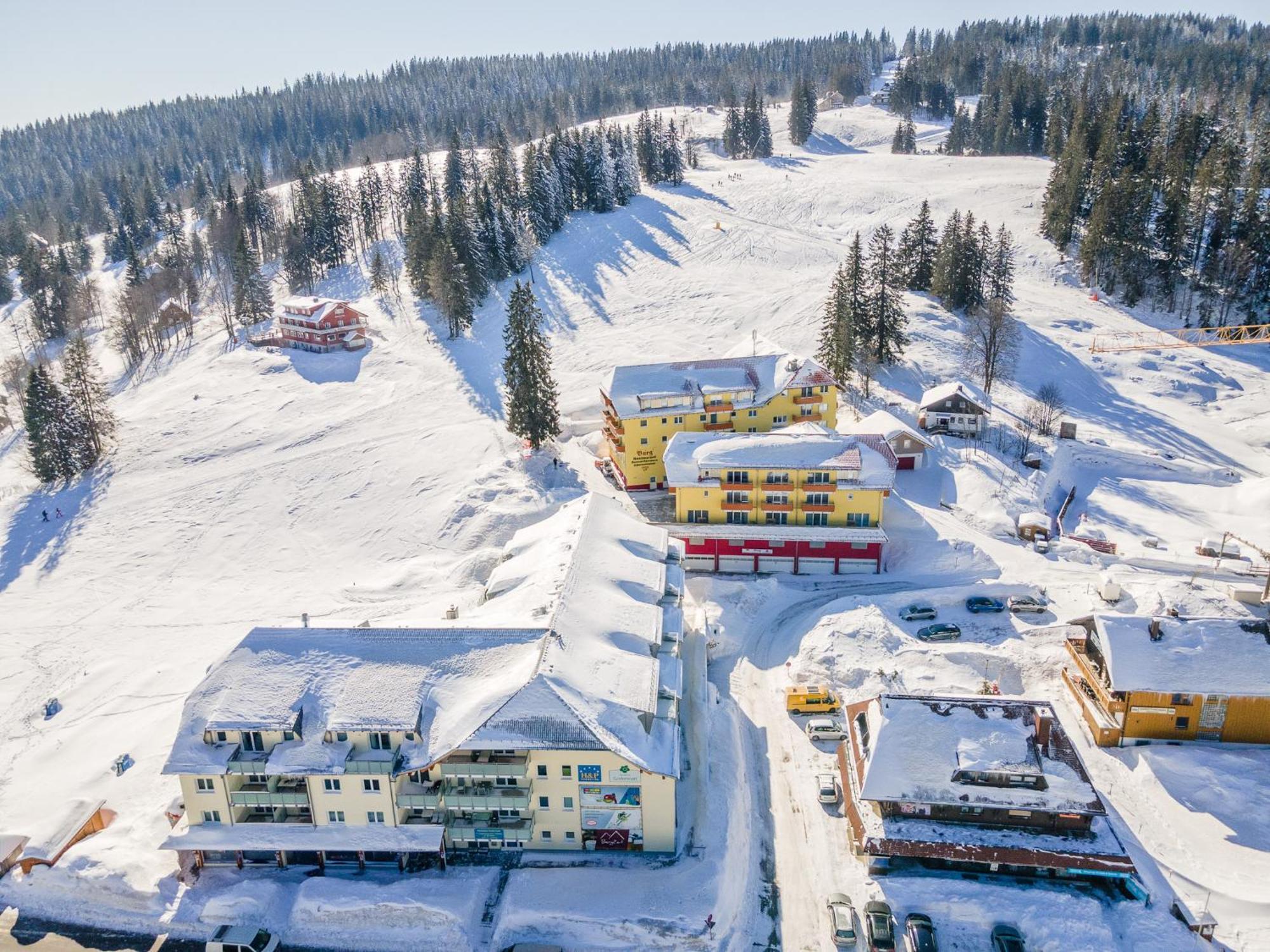 RinkenFeldberg Domizil - Residenz Grafenmattアパートメント エクステリア 写真