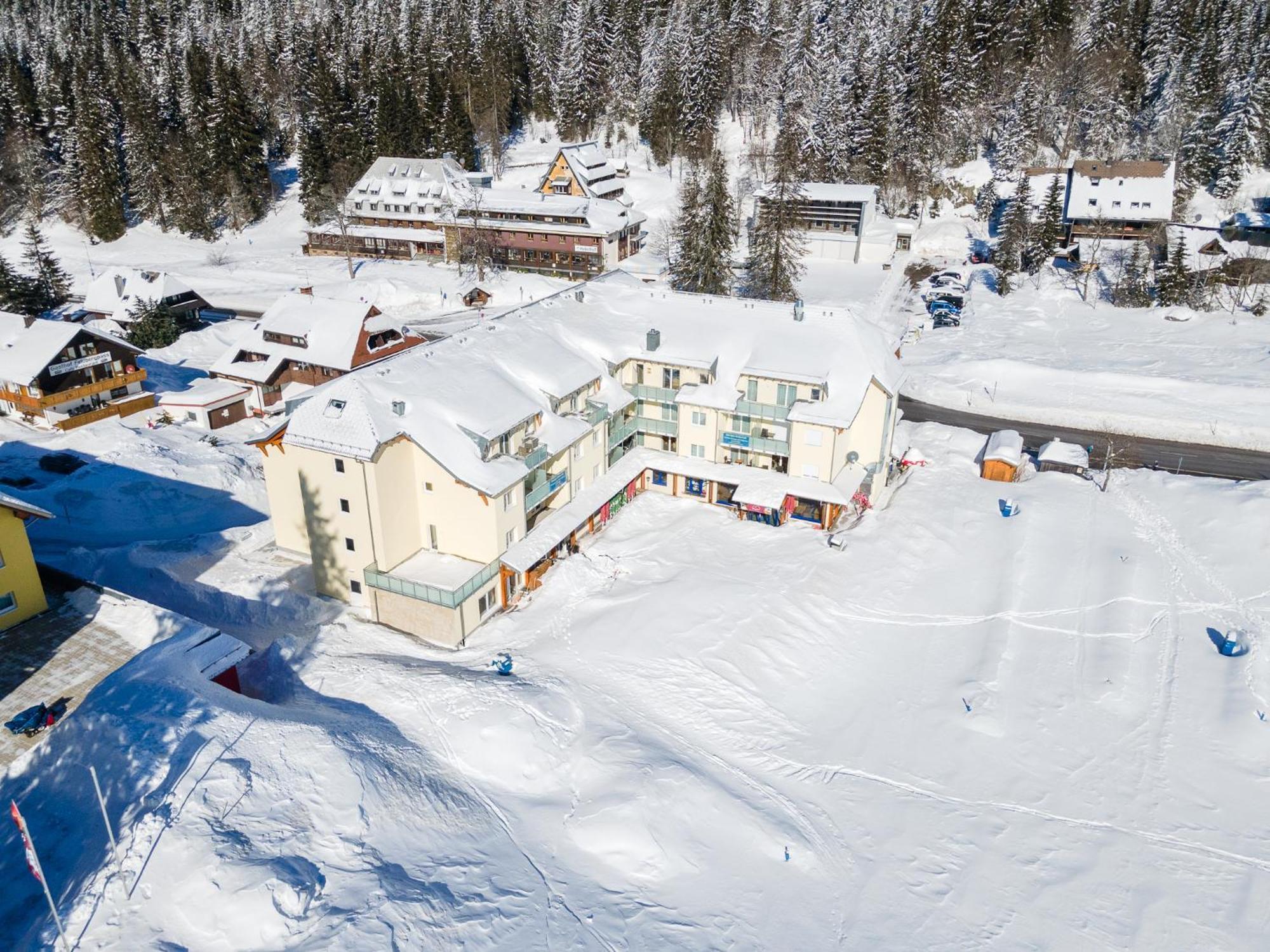 RinkenFeldberg Domizil - Residenz Grafenmattアパートメント エクステリア 写真
