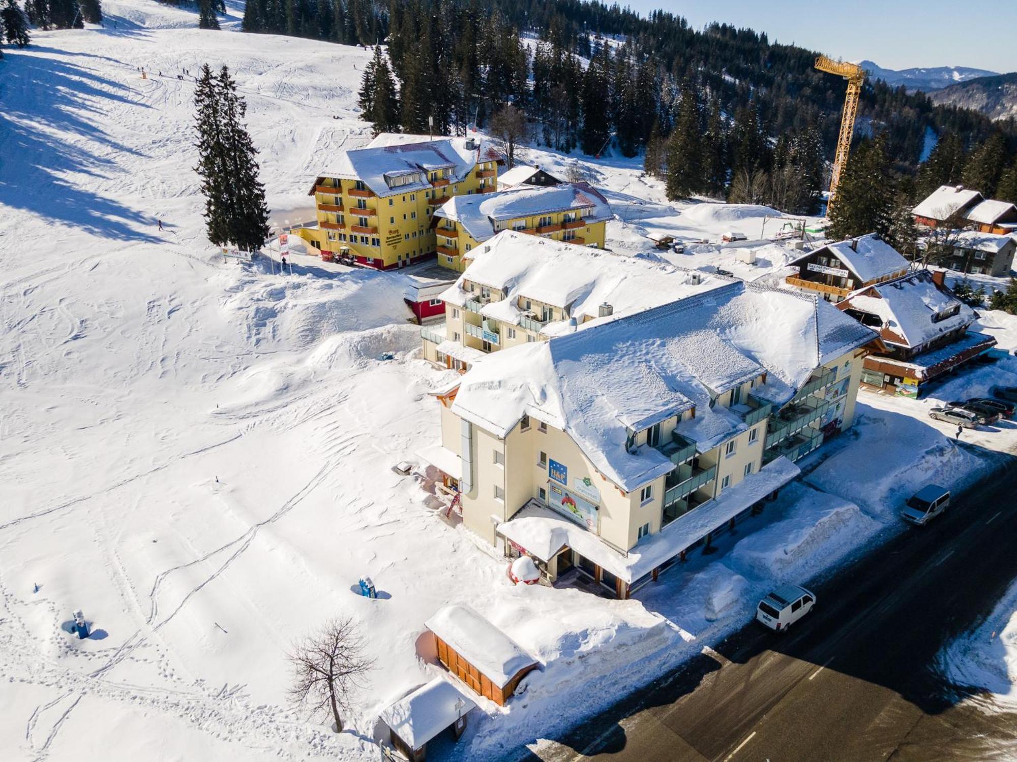RinkenFeldberg Domizil - Residenz Grafenmattアパートメント エクステリア 写真