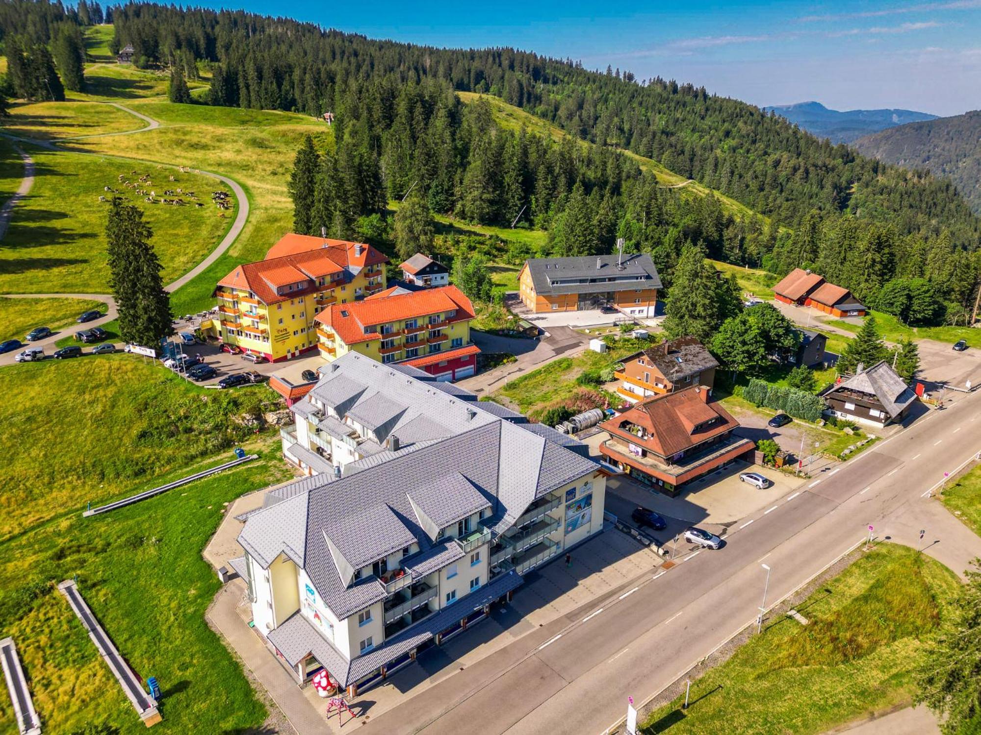 RinkenFeldberg Domizil - Residenz Grafenmattアパートメント エクステリア 写真
