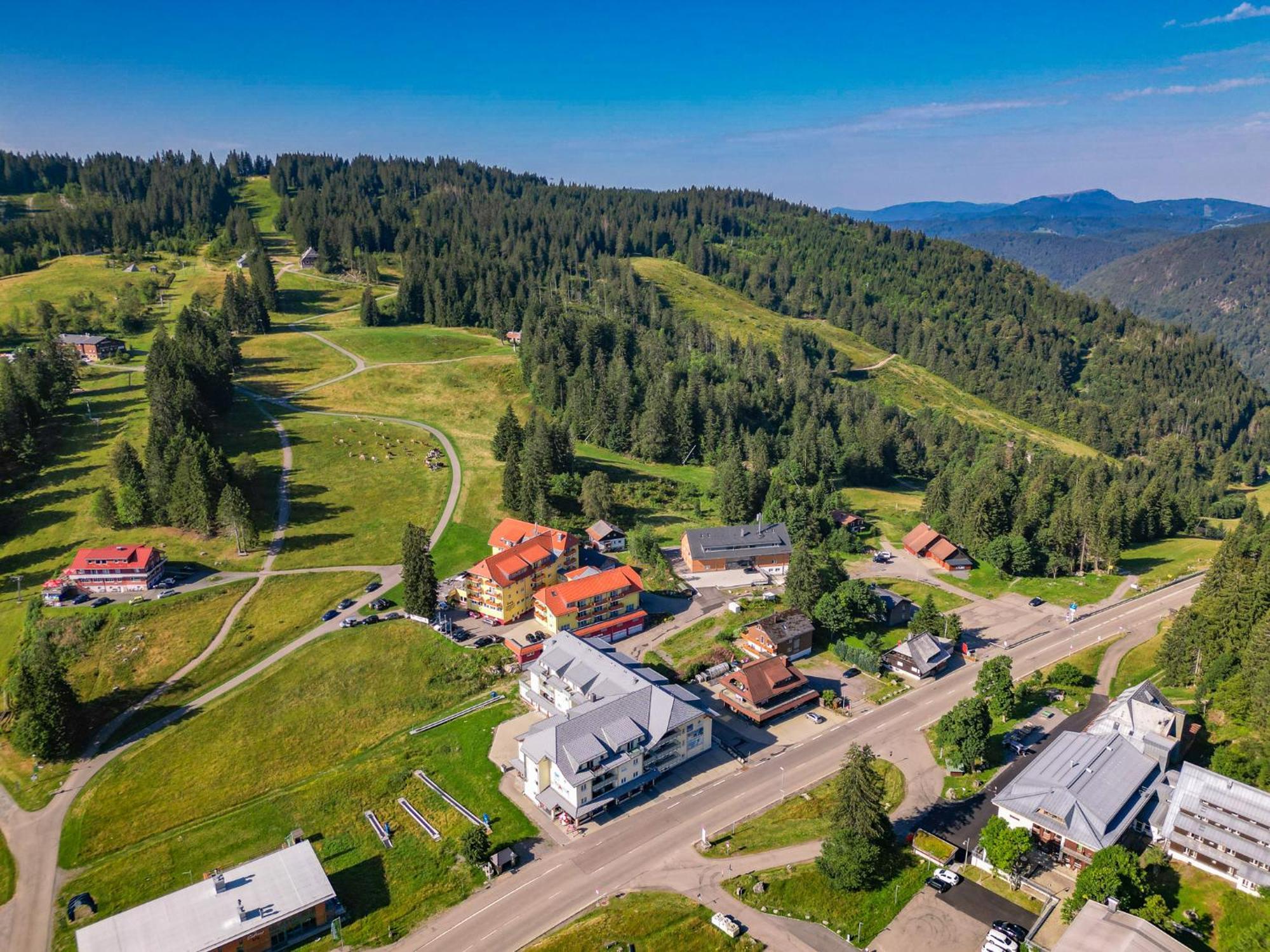 RinkenFeldberg Domizil - Residenz Grafenmattアパートメント エクステリア 写真
