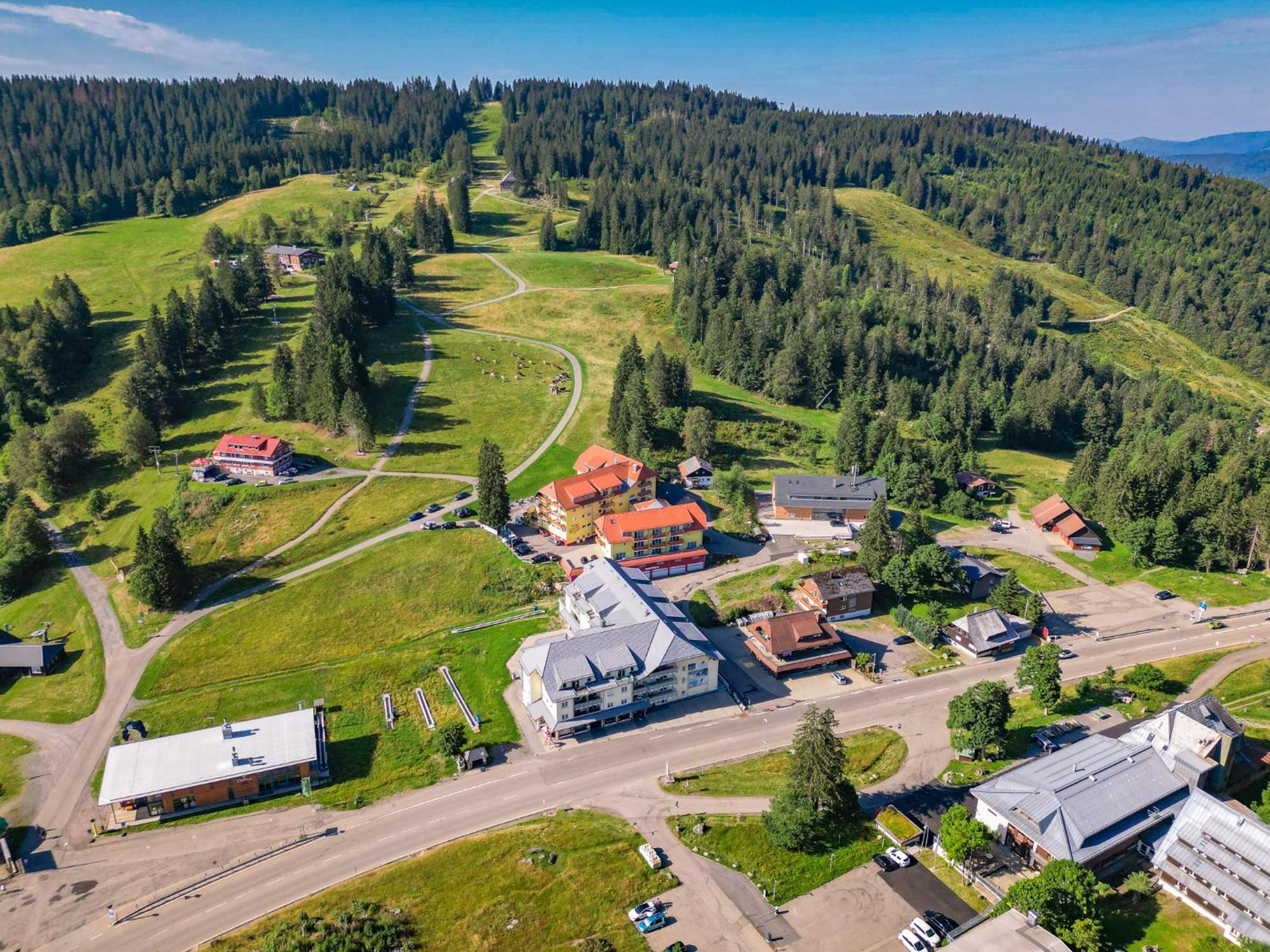 RinkenFeldberg Domizil - Residenz Grafenmattアパートメント エクステリア 写真