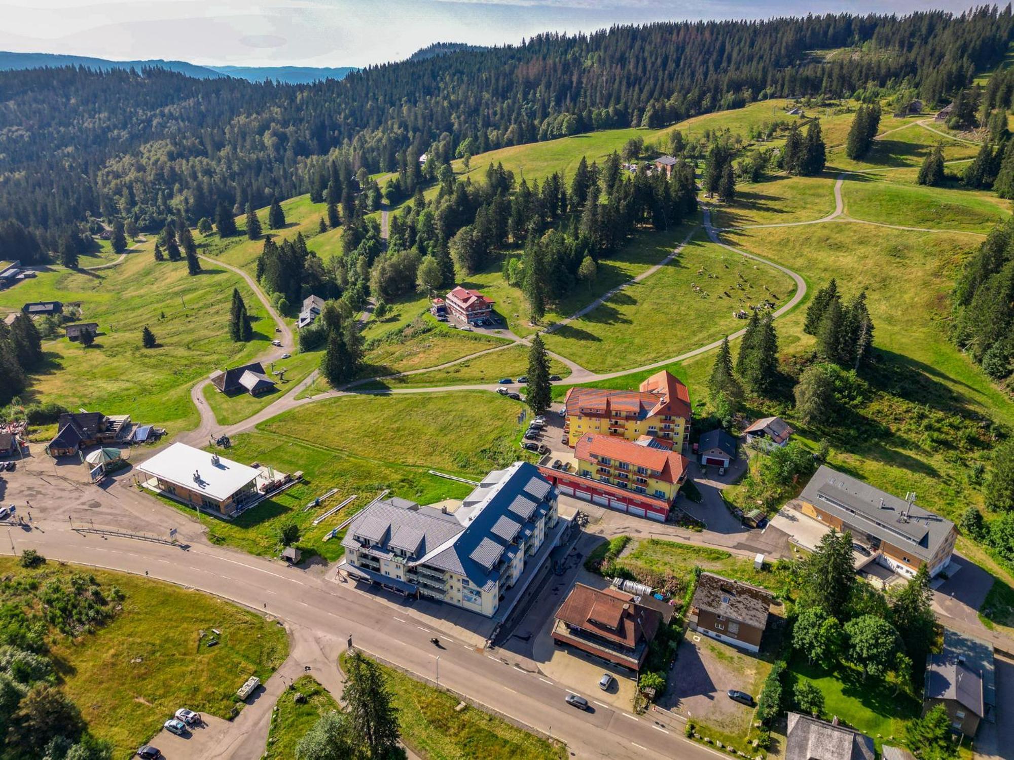 RinkenFeldberg Domizil - Residenz Grafenmattアパートメント エクステリア 写真